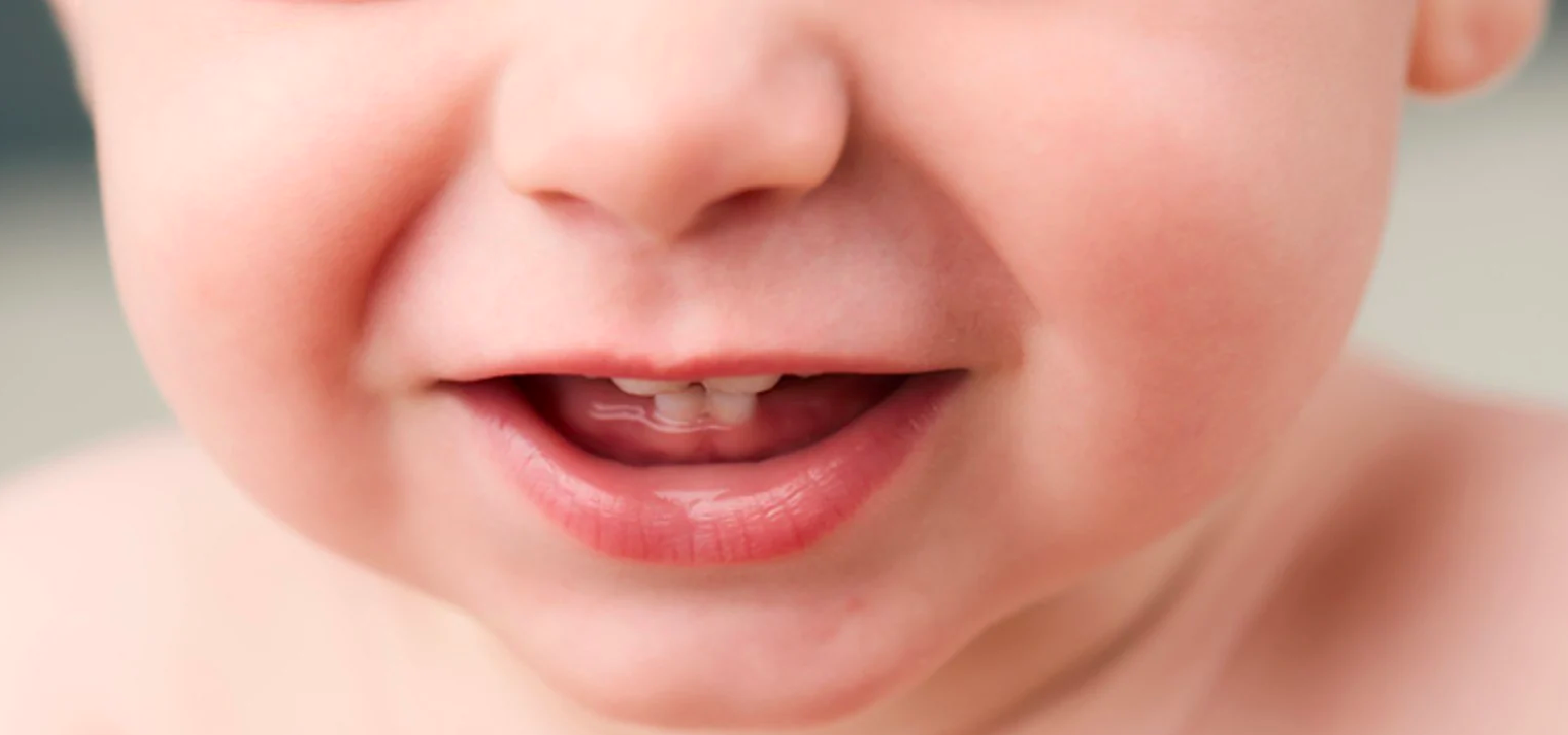 Mordedores para bebés: la clave para aliviar el dolor de los primeros  dientes, Escaparate: compras y ofertas
