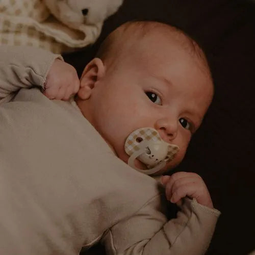 Pack de 2 Chupetes Fisiológicos Nocturnos Elefante - Beige | Suavinex