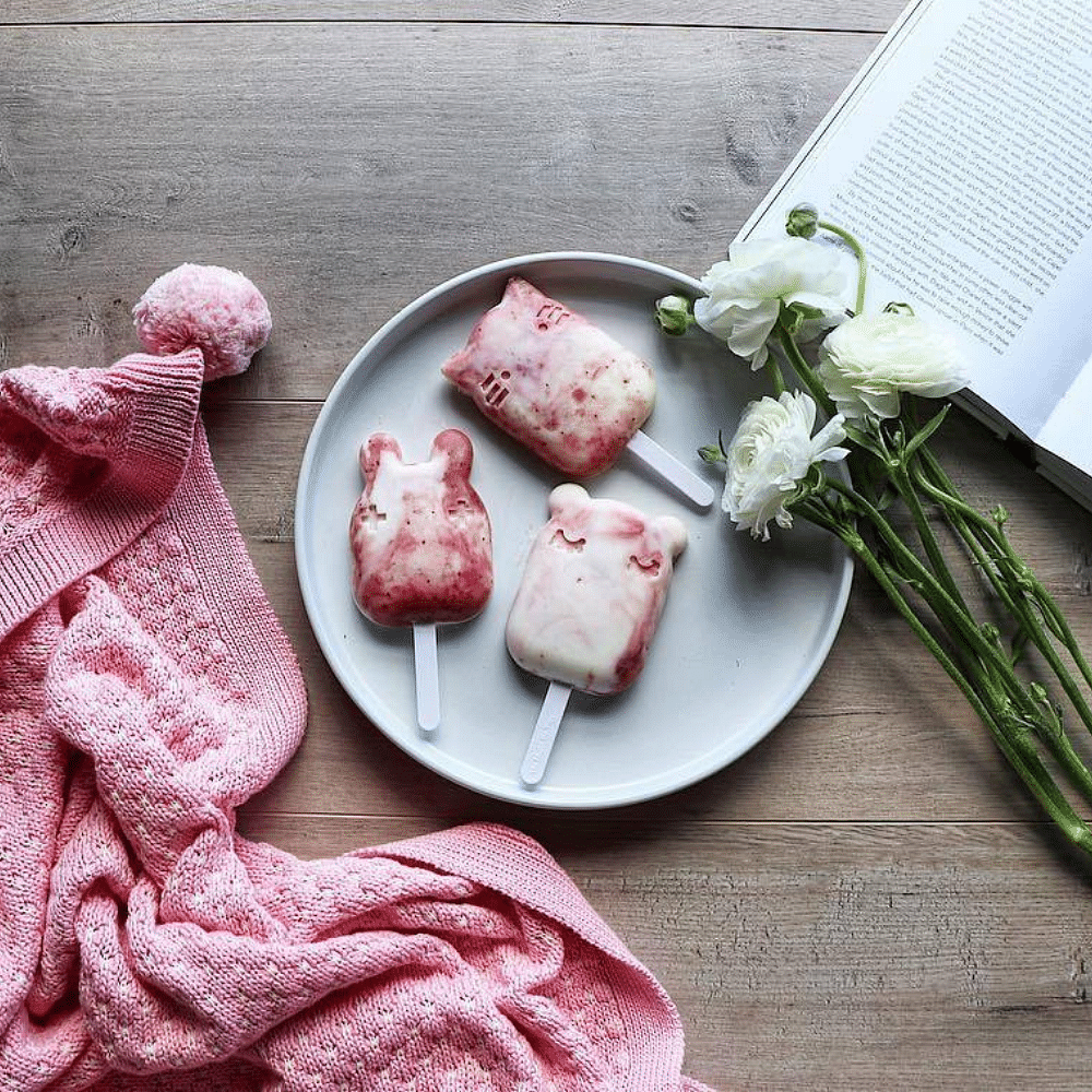 Molde para Helados - Gris Carbón | We Might Be Tiny