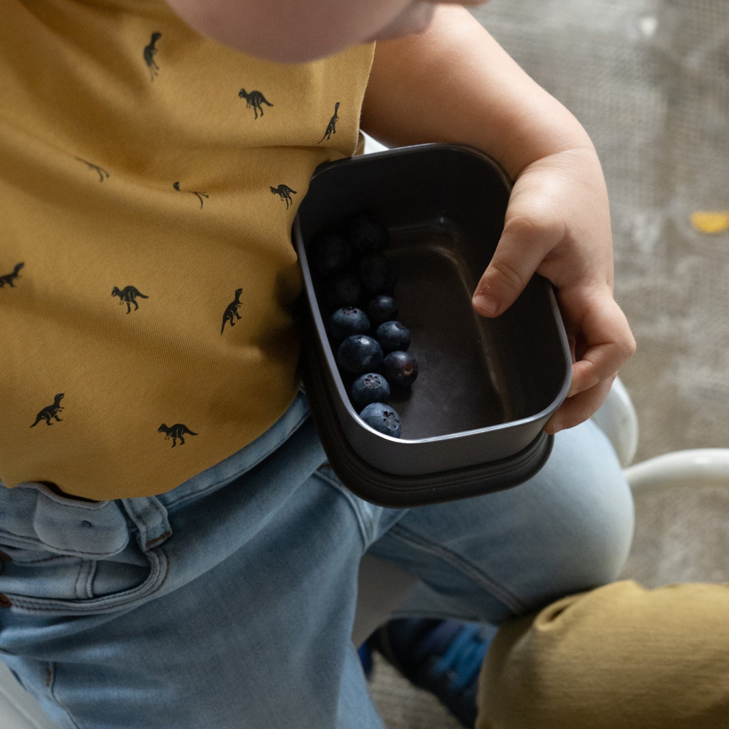 Store & Go Container 325 ml - Dark Grey