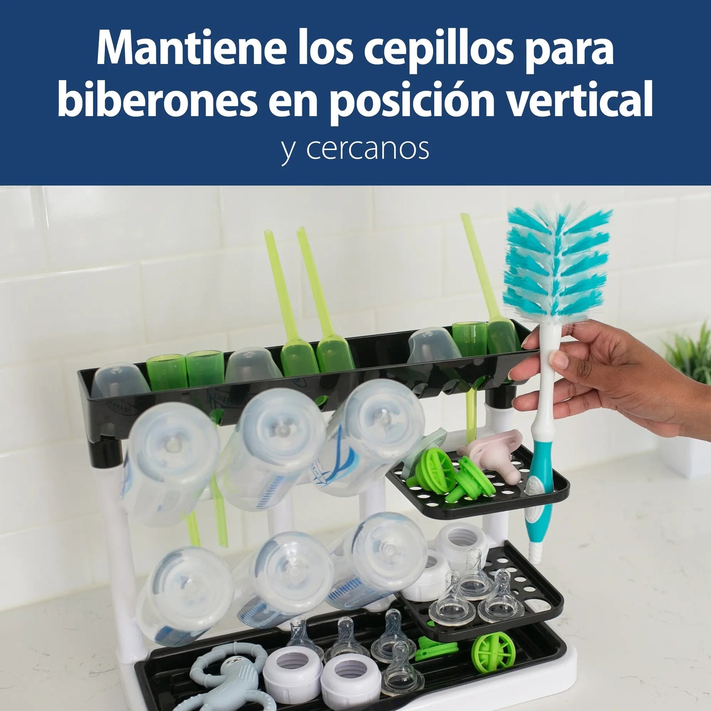 Rack Secado Universal | Dr. Brown's