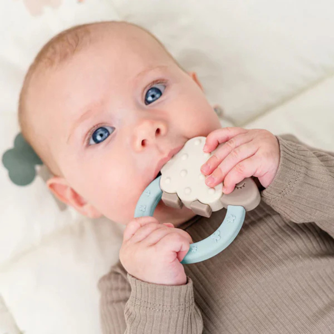 Mordedor - Sheepy - Azul | Done by deer