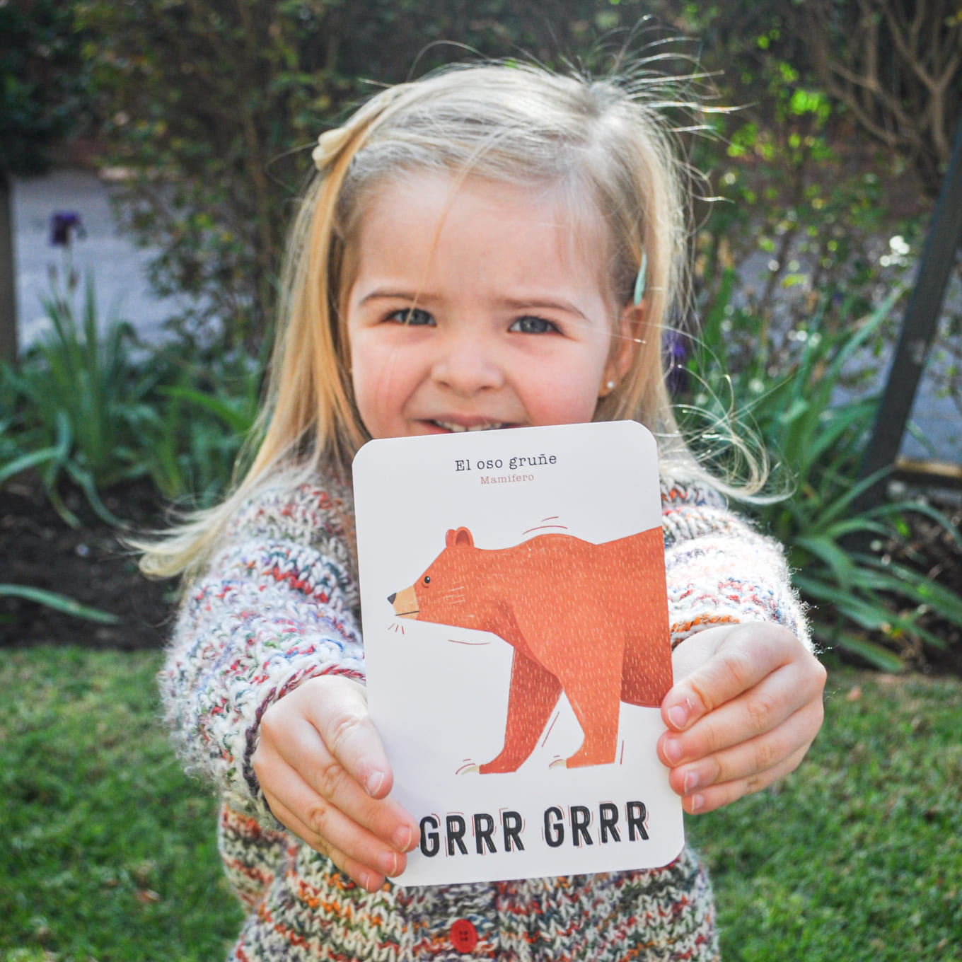 Set of Educational Cards - Animals