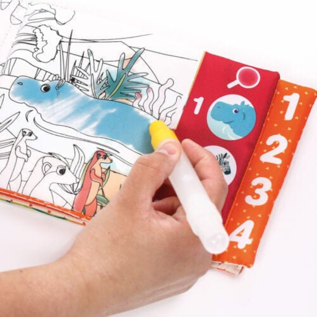 Libro Mágico Educativo | Ludi