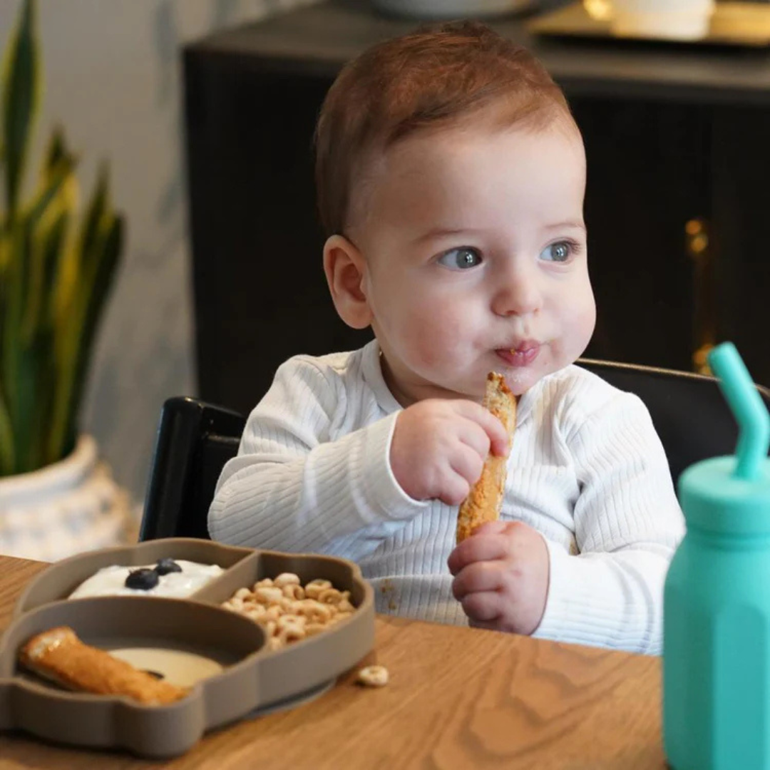 Plato de Silicona - Oso | Melii