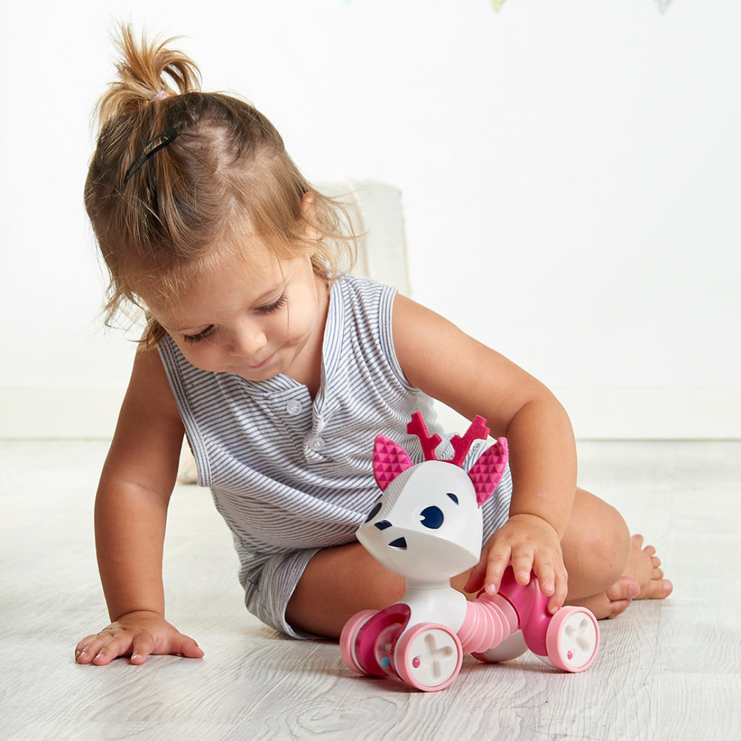 Samuel the Elephant Tiny Love Wheelie