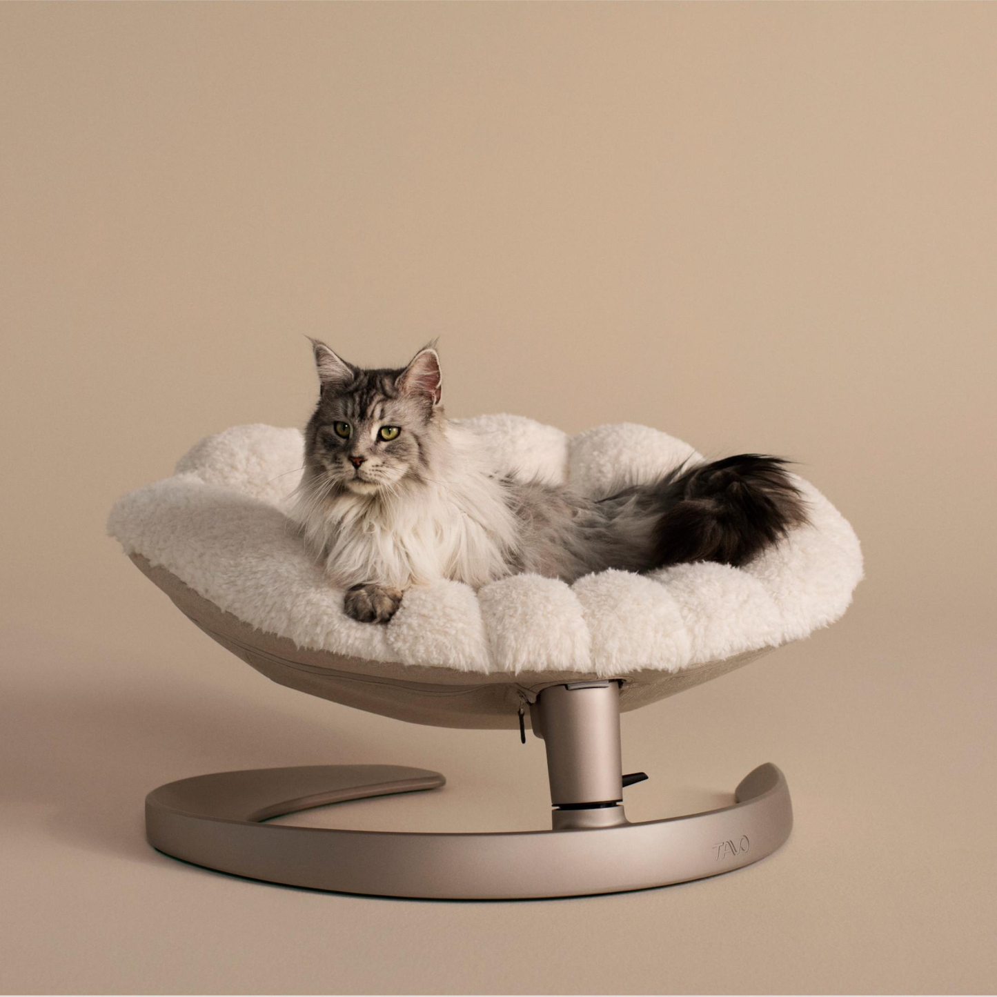 Silla Mecedora para Mascotas Shell - Latte | Tavo Pets