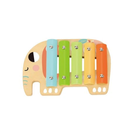 Musical Instrument Set