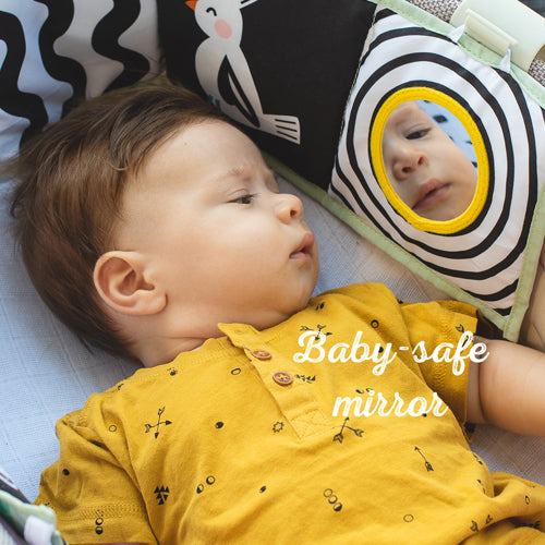 Koala Clip on Pram Book