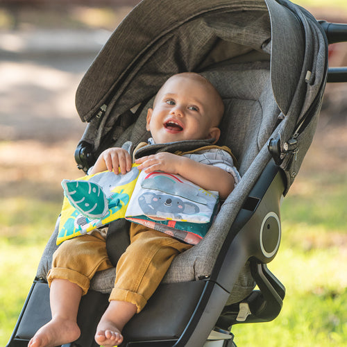 Libro de Estimulación Where is Joey (7551026659578)