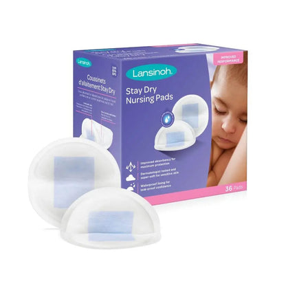 Absorbentes de Leche Stay Dry | Lansinoh