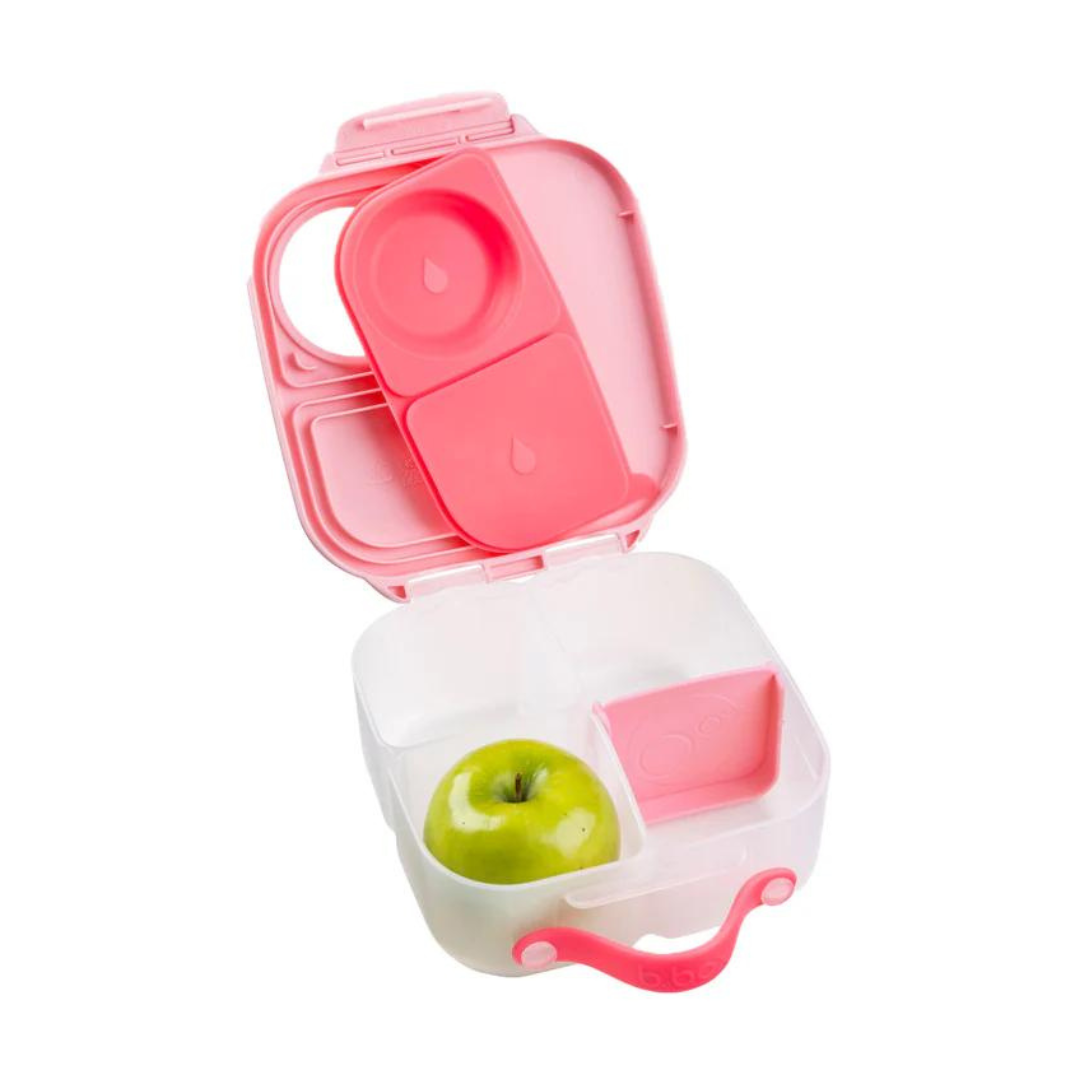 Mini Lunch Box - Flamingo Fizz