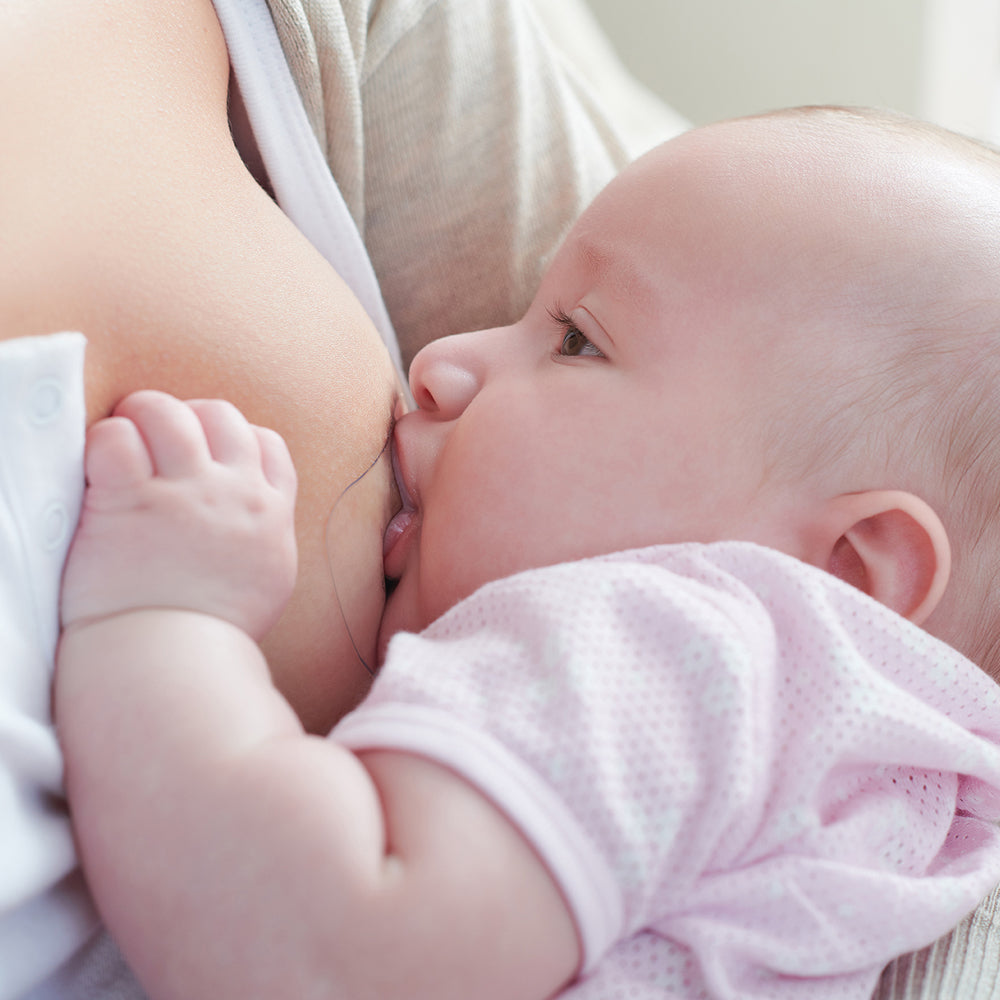 Protector de Pezon de Silicona M + L - 2 Unidades | Pigeon