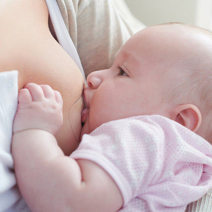 Protector de Pezon de Silicona M + L - 2 Unidades | Pigeon