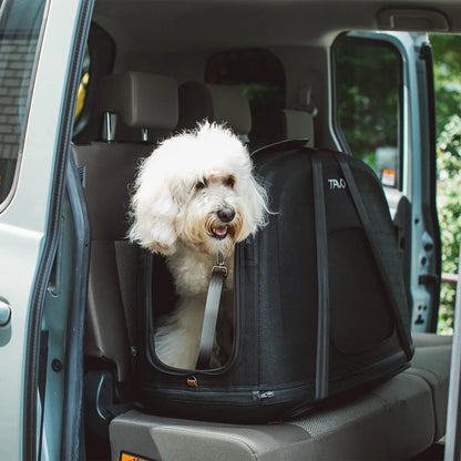 Transportador de Viaje para Mascotas Crispin™ con ISOFIX – Onyx | Tavo Pets
