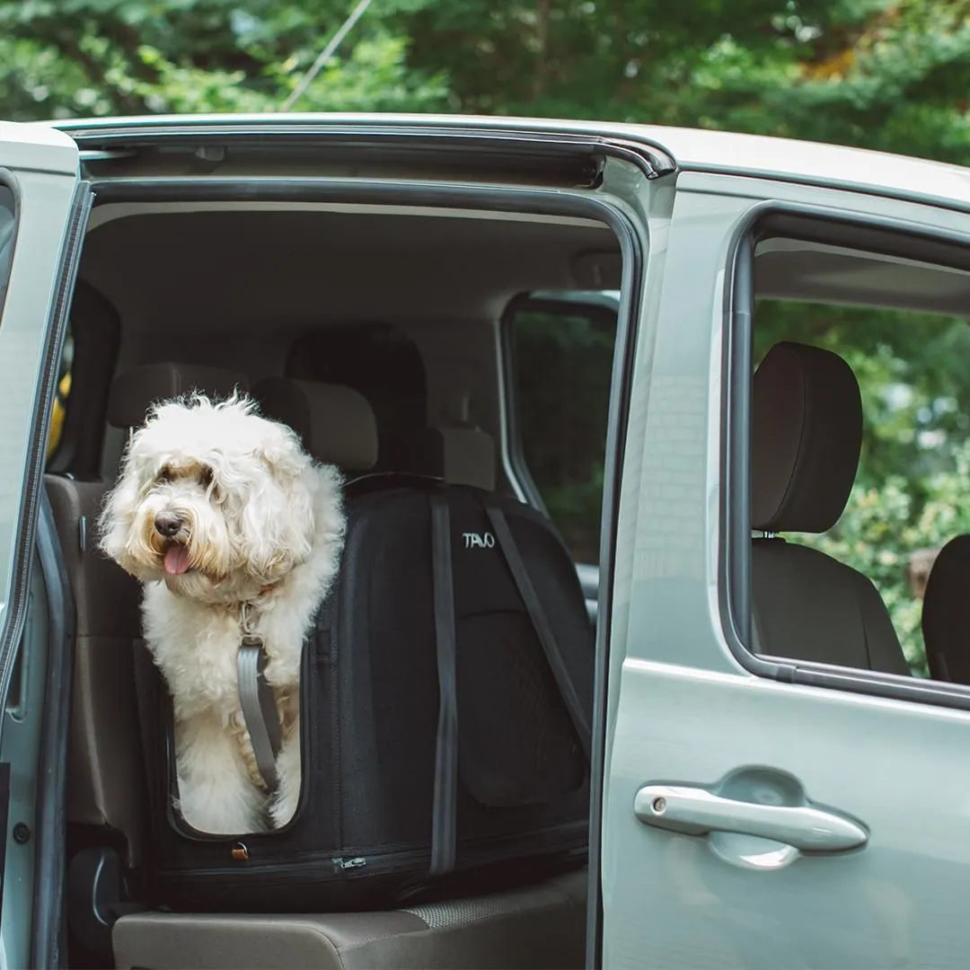 Transportador de Viaje para Mascotas Crispin™ con ISOFIX – Onyx | Tavo Pets