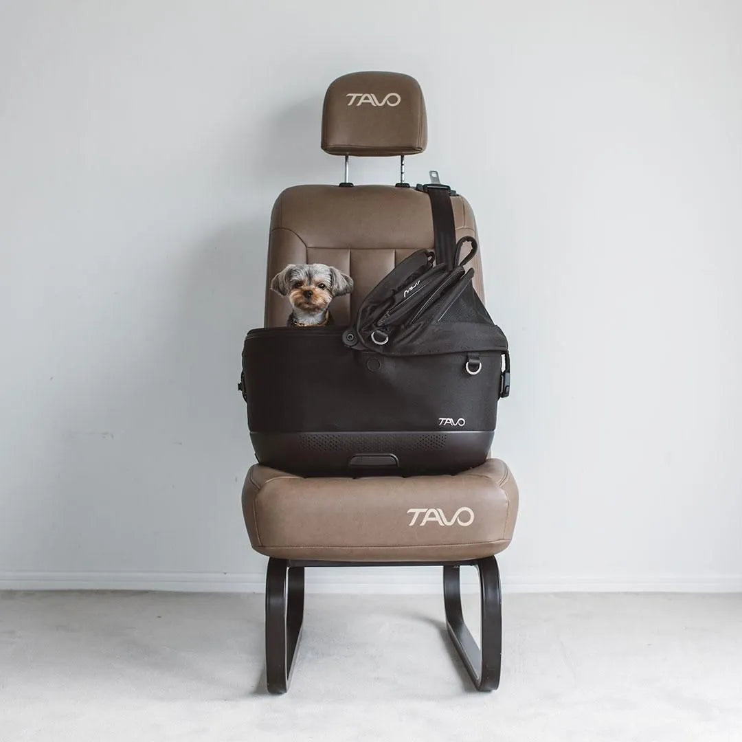 Silla de Auto para Mascotas Maeve™ iso - Tamaño 5x - Onyx | Tavo Pets