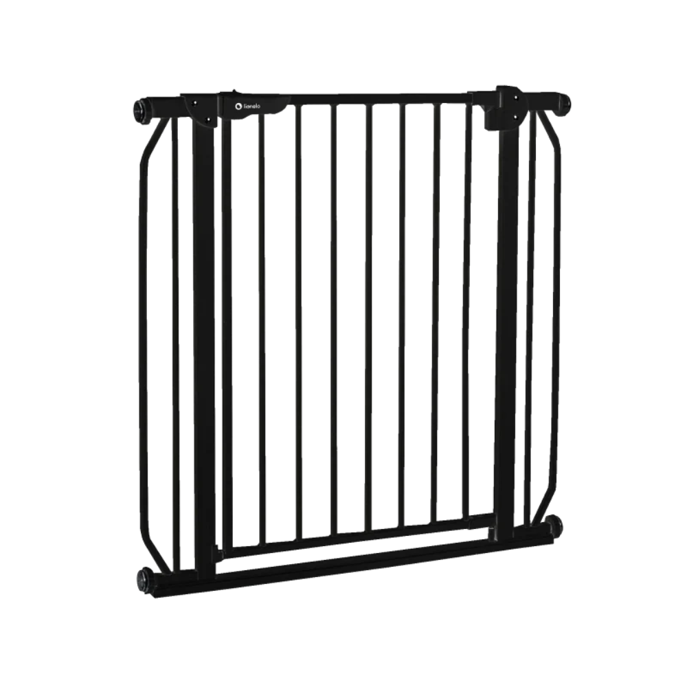 Puerta de Seguridad Truus Slim - Black Onyx | Lionelo