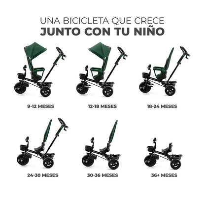 Aveo 3 in 1 Tricycle - Green 