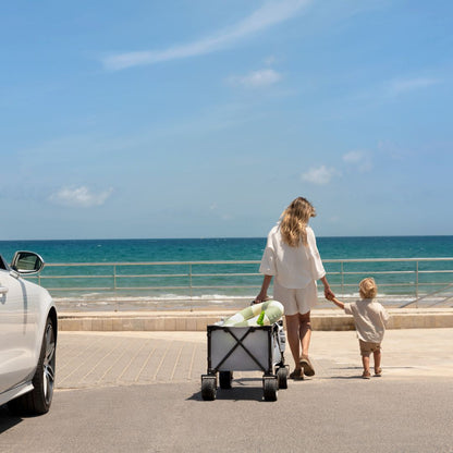 Carrito de transporte plegable Rollster - Black | Kinderkraft