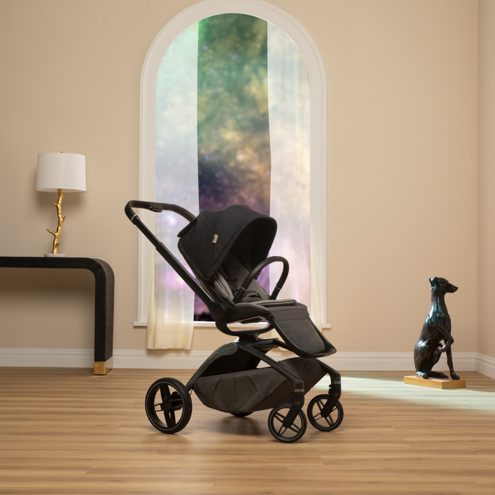 Coche Paseo Tana 360° Heritage - Onyx | Maxi Cosi
