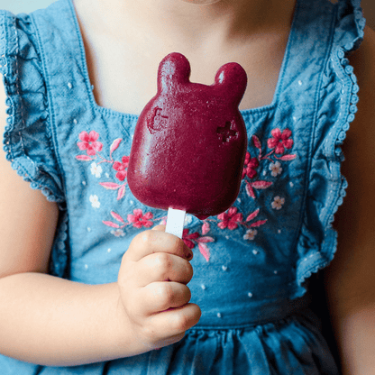 Set de 6 Paletas para Helado