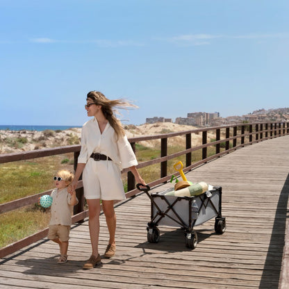 Carrito de transporte plegable Rollster - Black | Kinderkraft