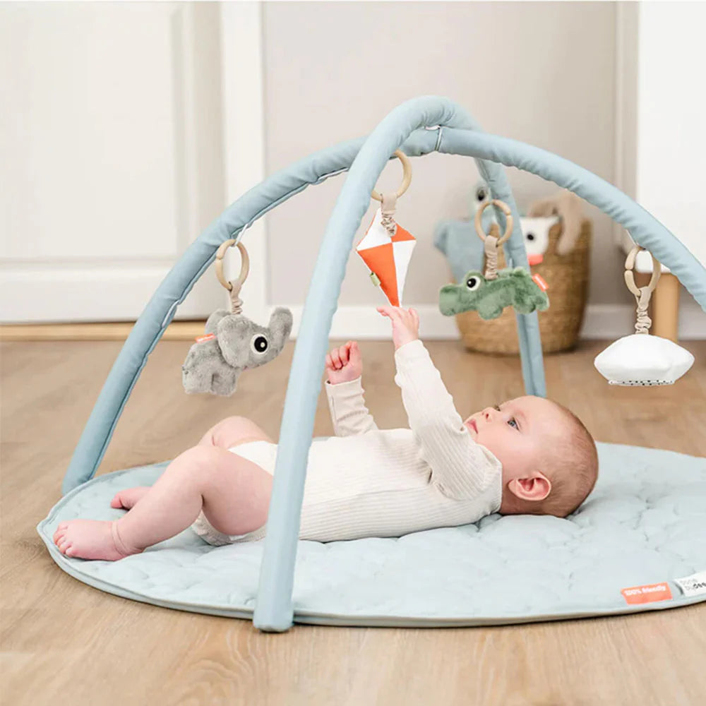 Gimnasio de Juego de Actividades Playground - Azul | Done by deer