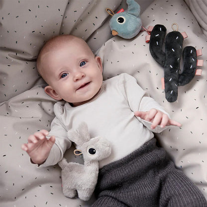 Set de Juguetes Sensoriales Pequeños Lalee - Varios Colores