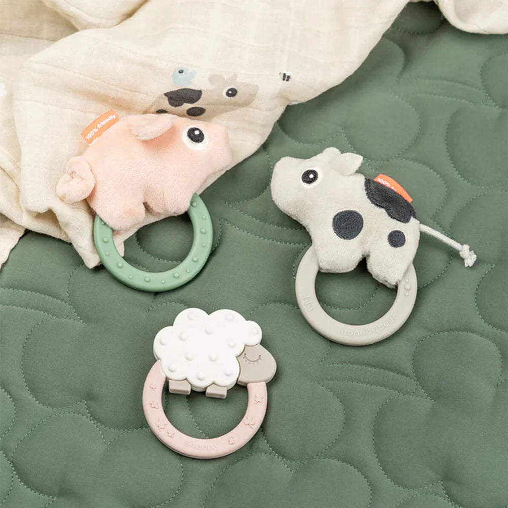 Sonajero Sensorial con Mordedor - Pigee Varios Colores | Done by deer