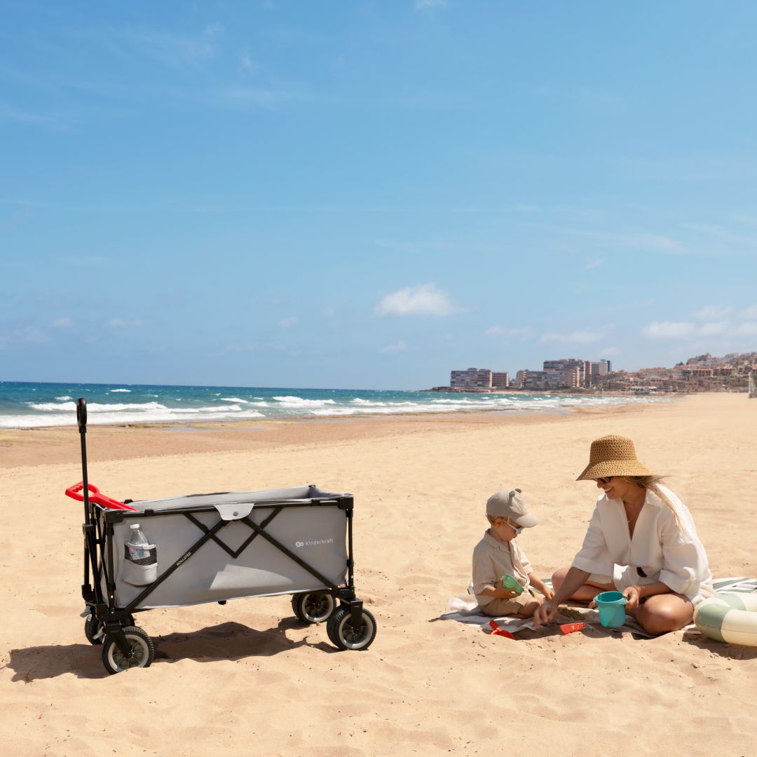 Carrito de transporte plegable Rollster - Black | Kinderkraft