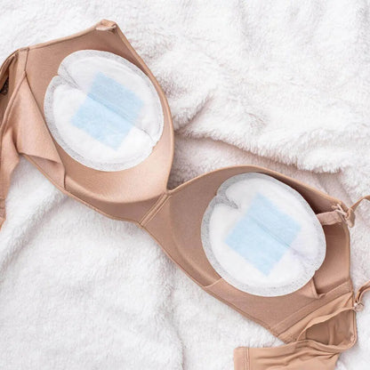 Absorbentes de Leche Stay Dry | Lansinoh