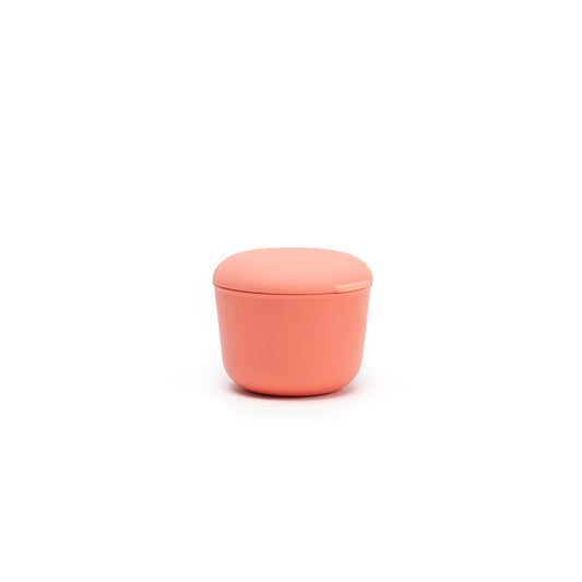 Store &amp; Go Container 225 ml - Coral