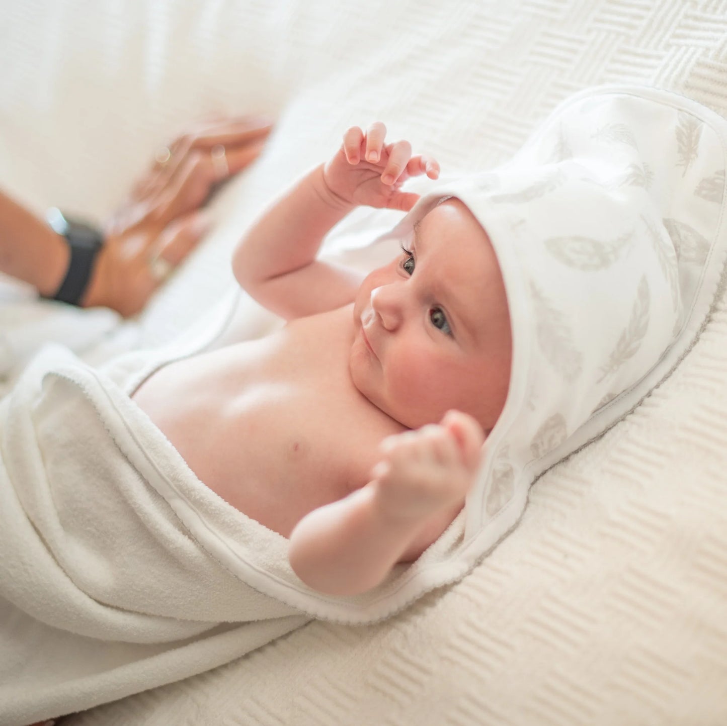 Toalla Delantal - Plumas | Algodones