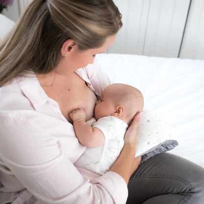 Cojín de Lactancia | Lansinoh