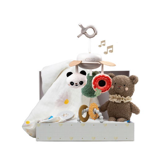 Kit para Recién Nacidos - Deluxe | Taf Toys