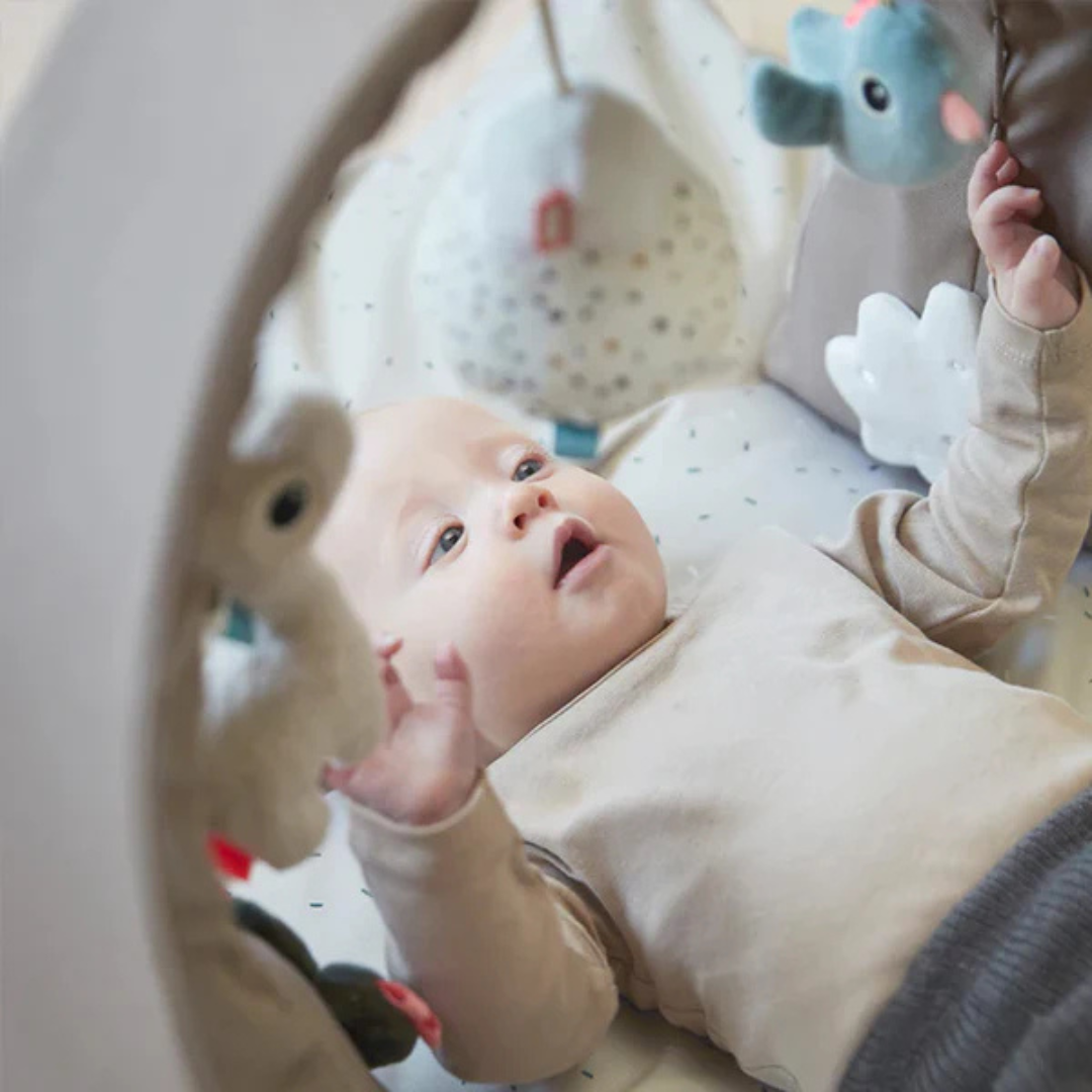 Gimnasio de Actividades - Lalee - Arena | Done by deer