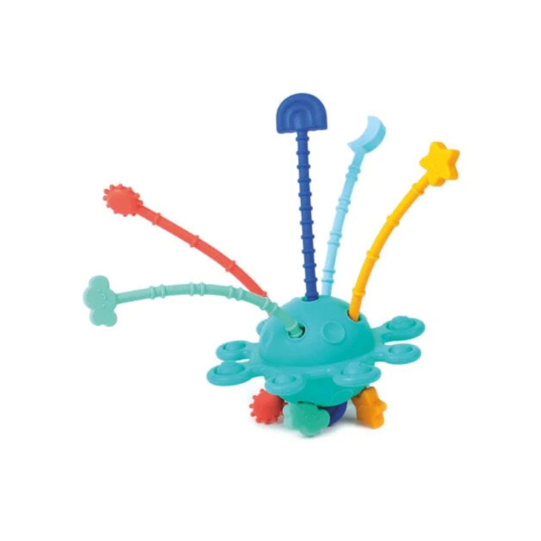 Mordedor Sensorial - Zippy | Ludi