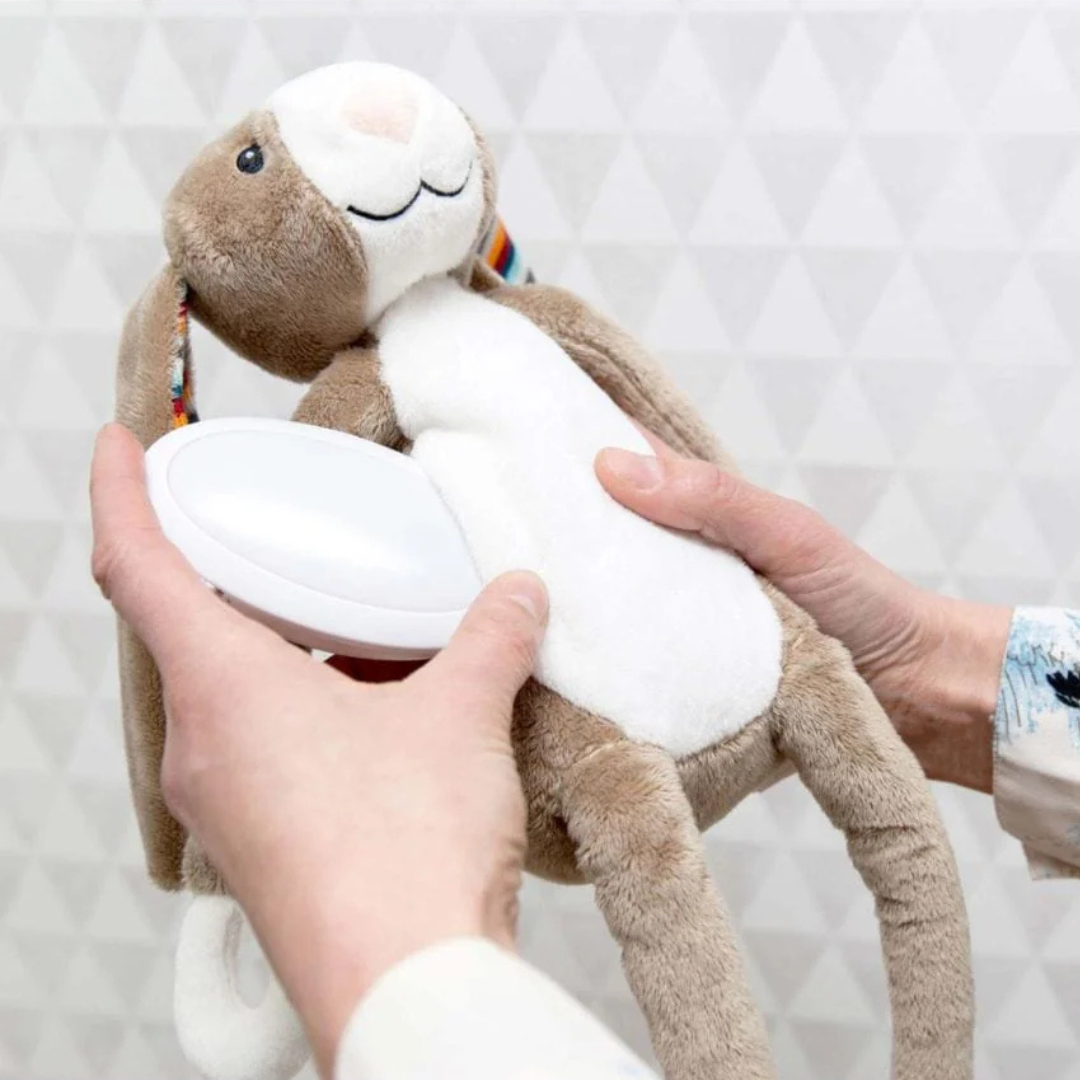 Luz Nocturna - Conejito Bo | Zazu