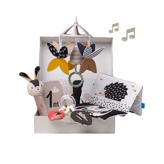 Kit para Recién Nacidos - Blanco y Negro | Taf Toys