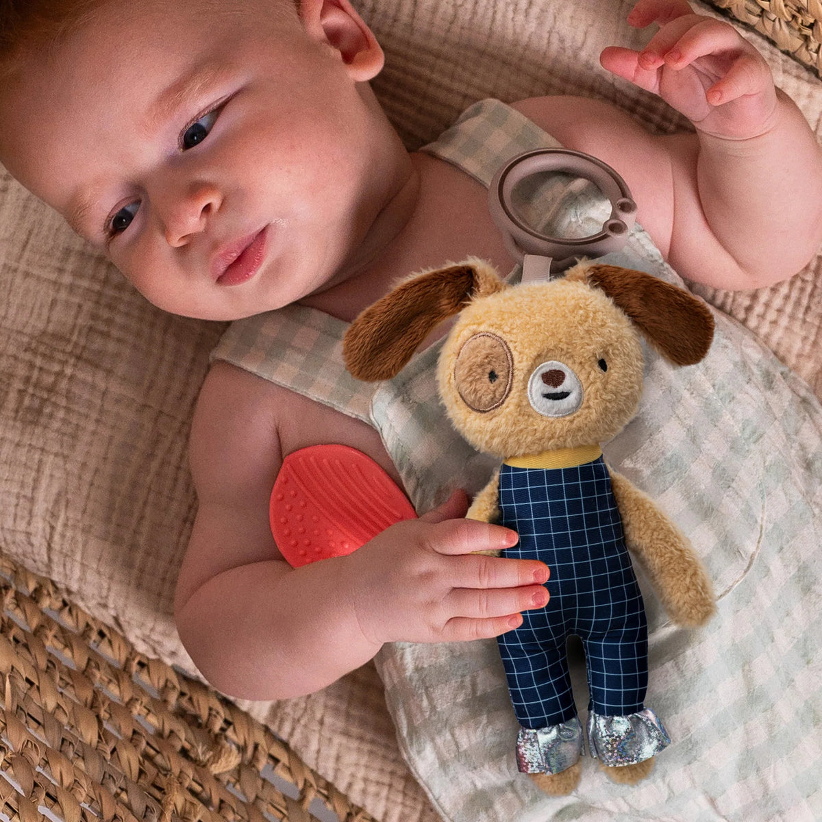 Peluche de Actividad Con Sonajero - Daniel | Taf Toys