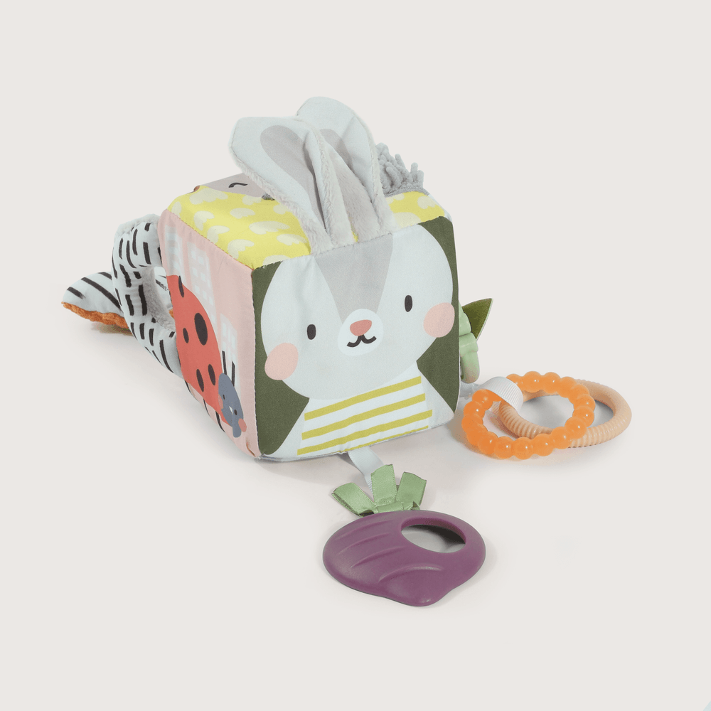 Cubo de Actividades - Jardín | Taf Toys