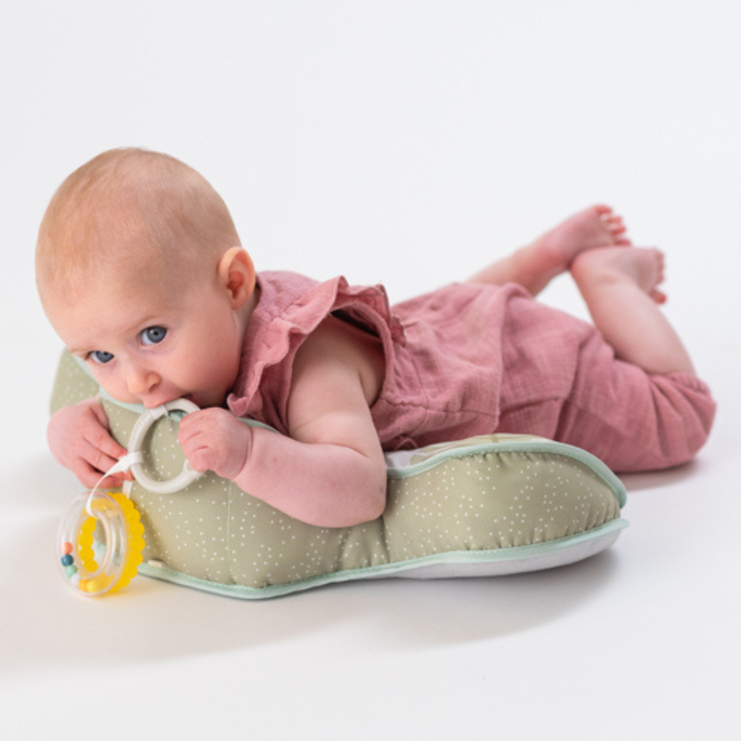 Almohada de Desarrollo - Savannah | Taf Toys