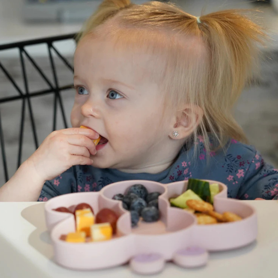 Plato de Silicona - Mariposa | Melii