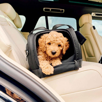Transportador y Silla de Auto para Mascotas Dupree™ ISOFIX – Apto para Avión - Onyx | Tavo Pets