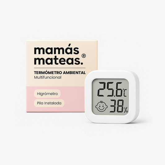 Environmental thermometer