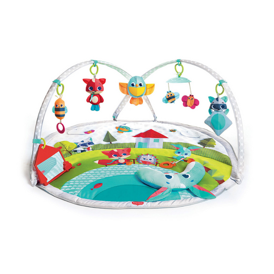 Gimnasio Dynamic Gymini | Tiny Love