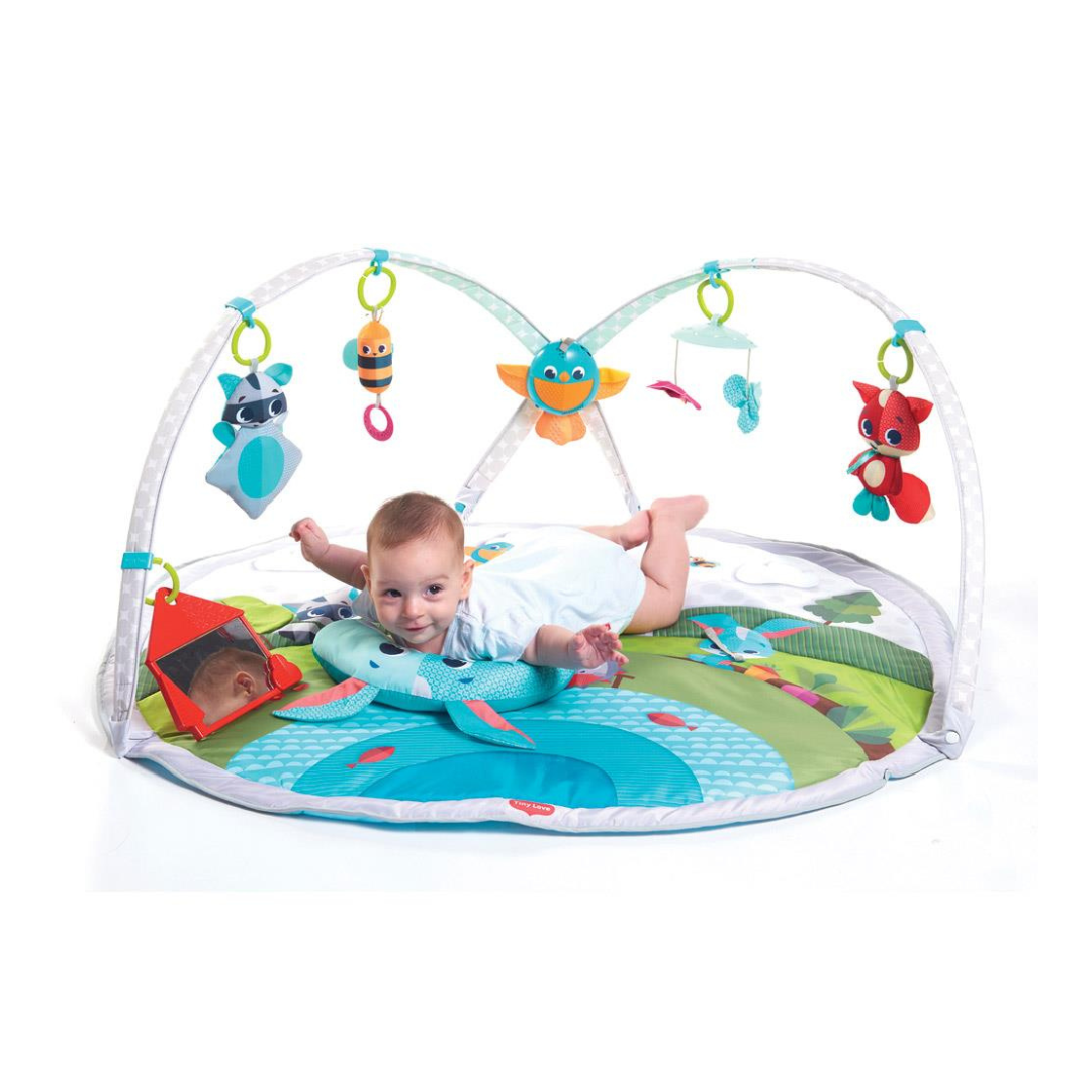 Gimnasio Dynamic Gymini | Tiny Love