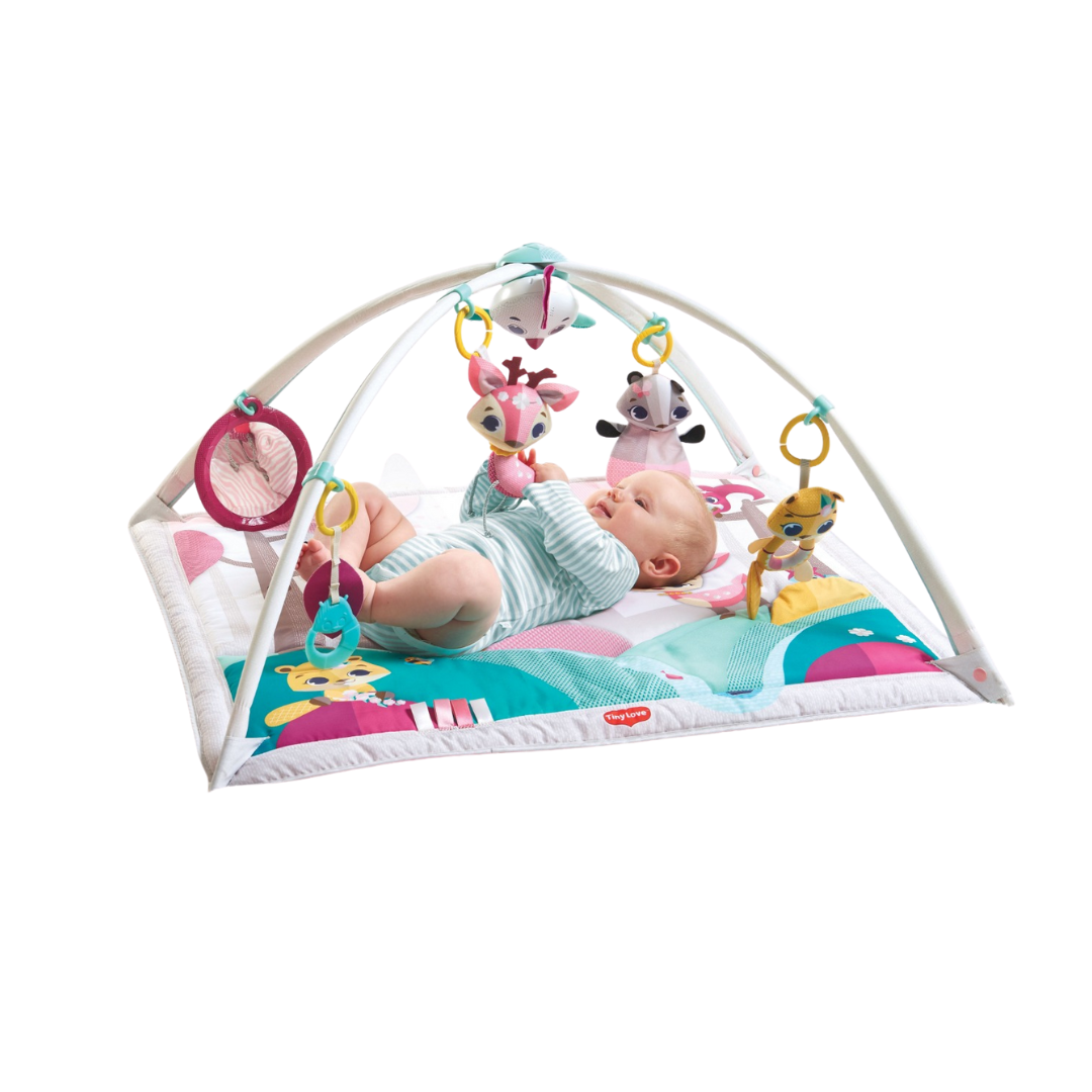 Gimnasio Tiny Princess Tales Deluxe | Tiny Love