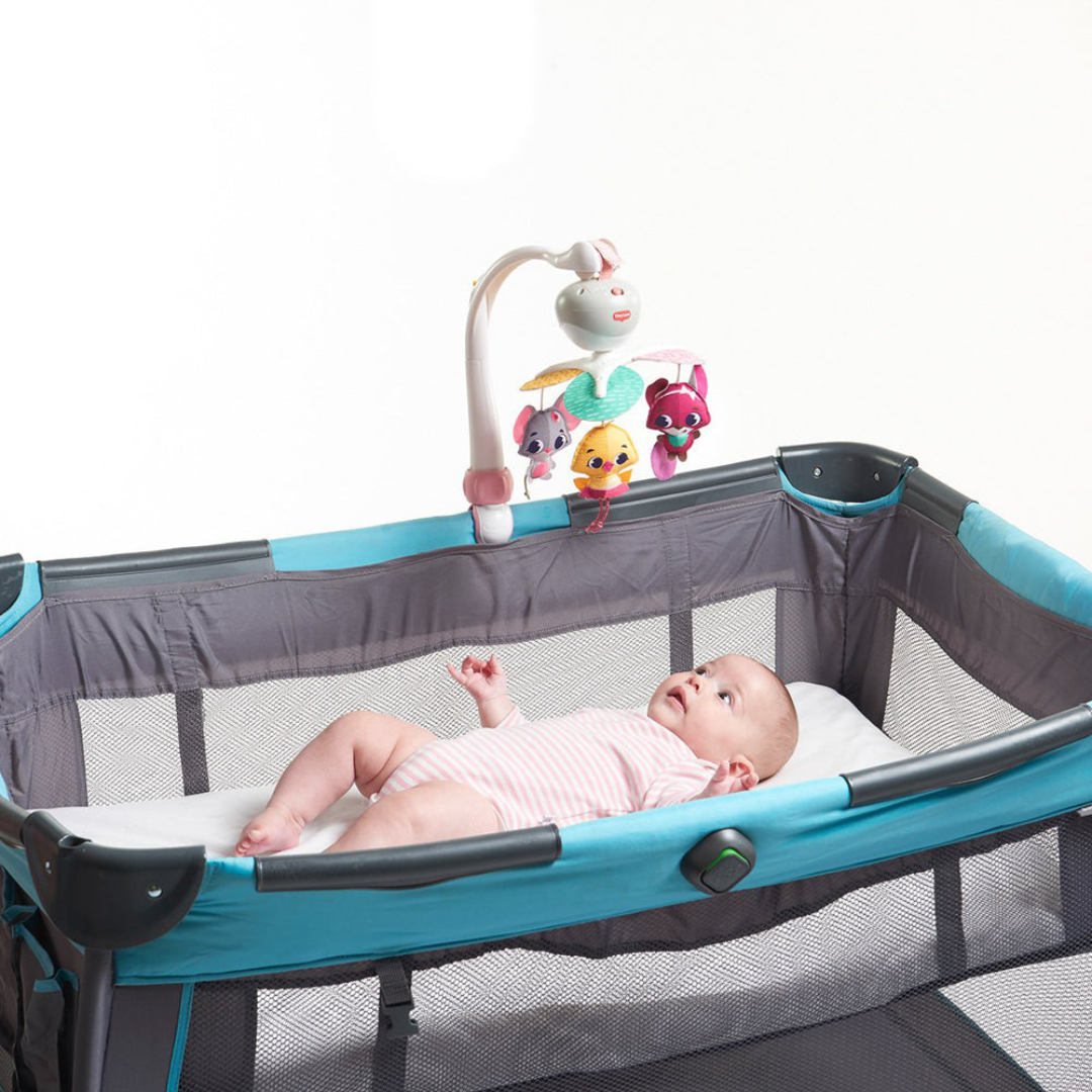 Tiny Princess Take Along Tiny Love Mobile